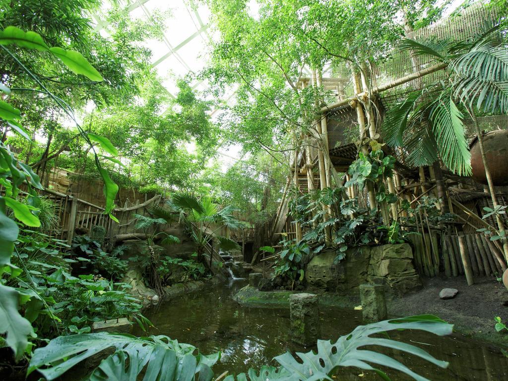 ホテル Center Parcs Heijderbos Limburg-Weeze Heijen 部屋 写真