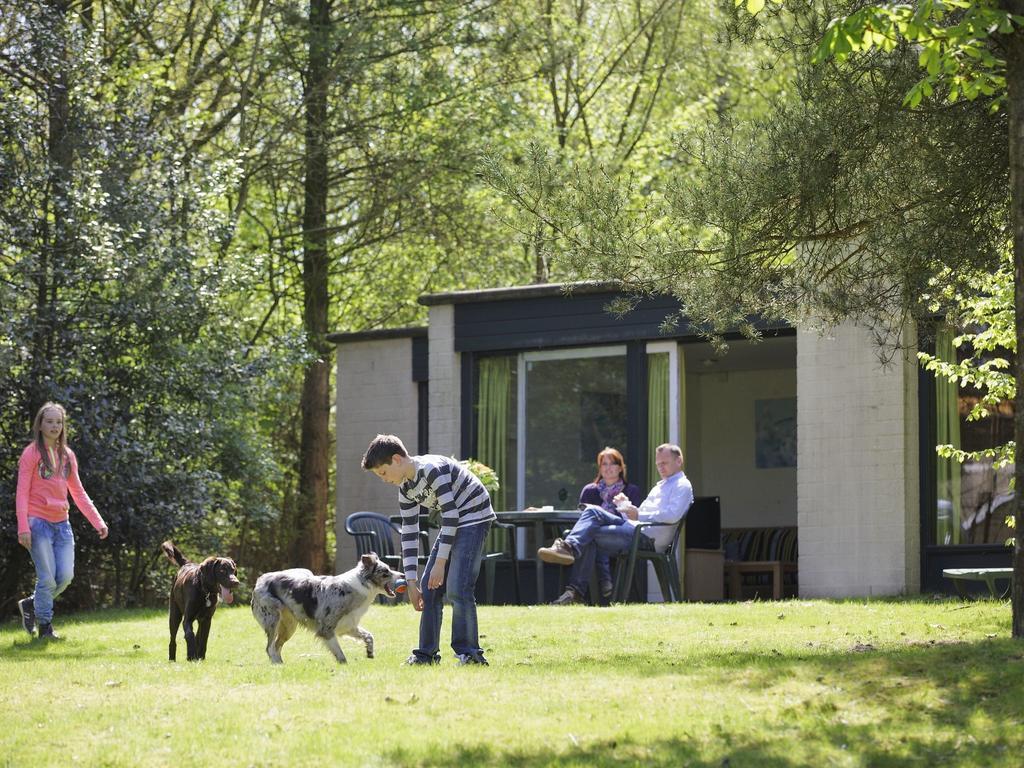 ホテル Center Parcs Heijderbos Limburg-Weeze Heijen 部屋 写真